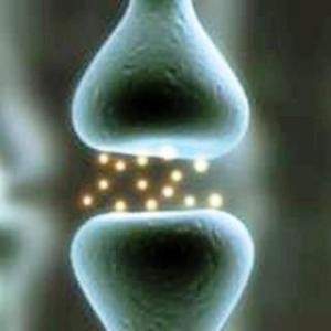 PHYSIOLOGICAL EFFECT OF PEMF THERAPY ON HUMAN BODY